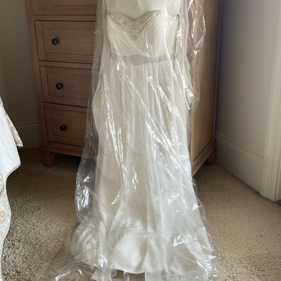 GALINA SIGNATURE From David’s Bridal Wedding Dress - Picture 16 of 16